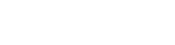 十年之约专属标识 · 浅色文字